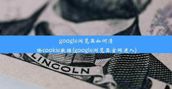 google浏览器如何清除cookie数据(google浏览器官网进入)