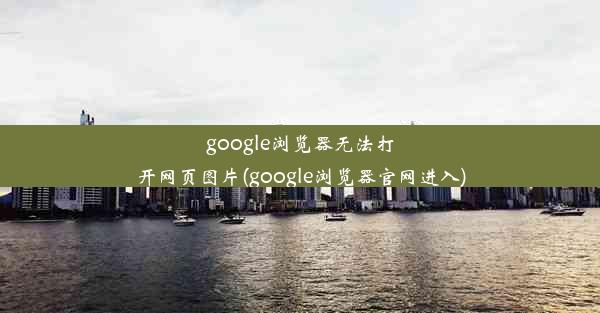 google浏览器无法打开网页图片(google浏览器官网进入)