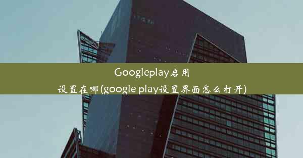 Googleplay启用设置在哪(google play设置界面怎么打开)