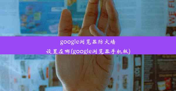 google浏览器防火墙设置在哪(google浏览器手机版)