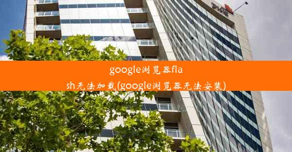 google浏览器flash无法加载(google浏览器无法安装)