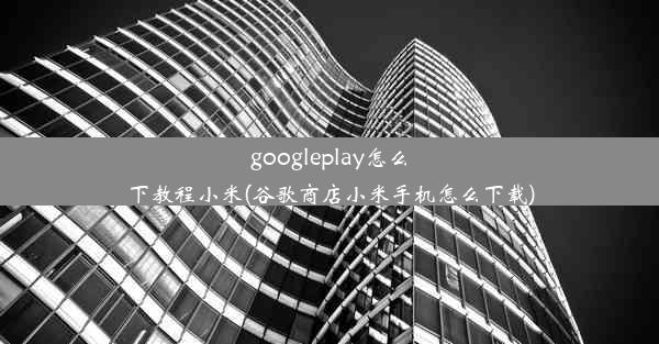 googleplay怎么下教程小米(谷歌商店小米手机怎么下载)