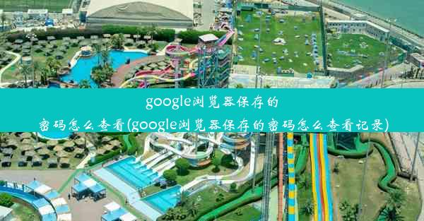 google浏览器保存的密码怎么查看(google浏览器保存的密码怎么查看记录)