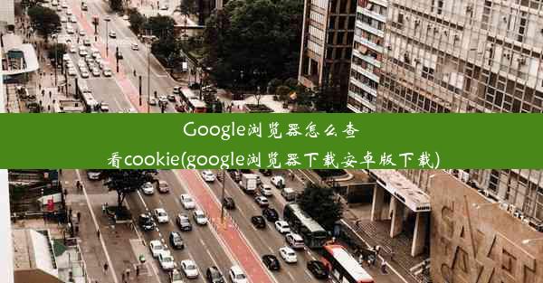 Google浏览器怎么查看cookie(google浏览器下载安卓版下载)