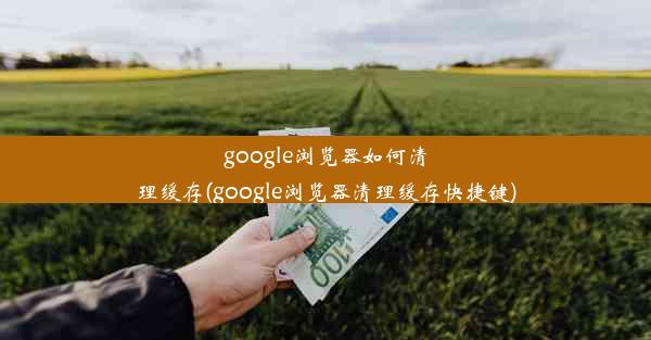 google浏览器如何清理缓存(google浏览器清理缓存快捷键)