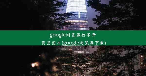 google浏览器打不开页面图片(google浏览器下载)