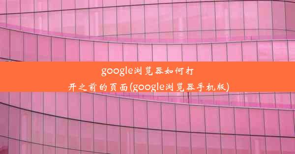 google浏览器如何打开之前的页面(google浏览器手机版)