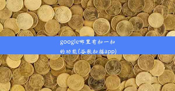 google哪里有扫一扫的功能(谷歌扫描app)