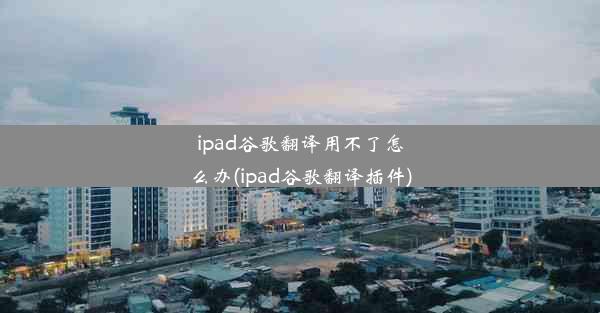 ipad谷歌翻译用不了怎么办(ipad谷歌翻译插件)