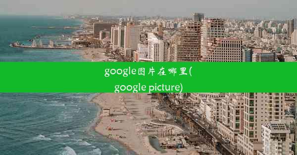 google图片在哪里(google picture)