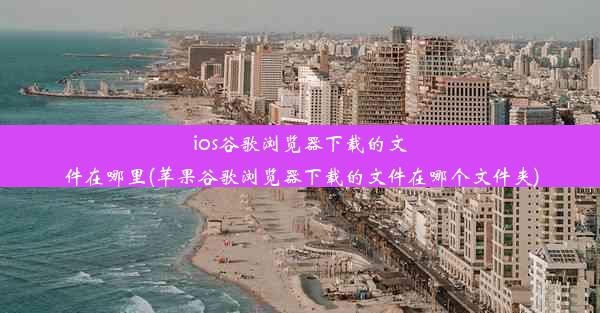 ios谷歌浏览器下载的文件在哪里(苹果谷歌浏览器下载的文件在哪个文件夹)