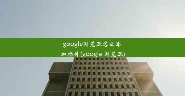 google浏览器怎么添加插件(google 浏览器)