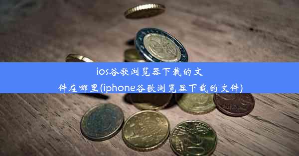 ios谷歌浏览器下载的文件在哪里(iphone谷歌浏览器下载的文件)