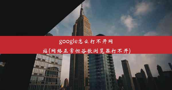 google怎么打不开网站(网络正常但谷歌浏览器打不开)