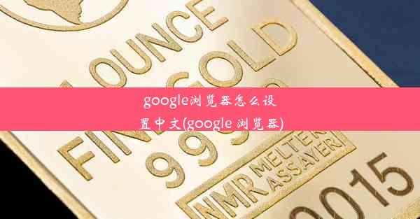 google浏览器怎么设置中文(google 浏览器)