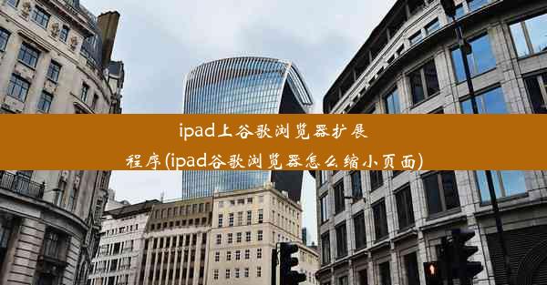 ipad上谷歌浏览器扩展程序(ipad谷歌浏览器怎么缩小页面)