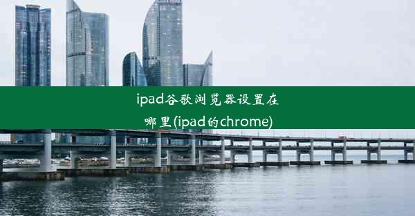 ipad谷歌浏览器设置在哪里(ipad的chrome)