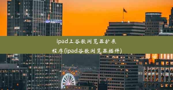 ipad上谷歌浏览器扩展程序(ipad谷歌浏览器插件)