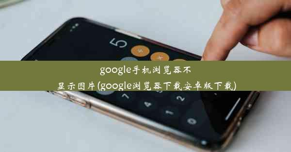 google手机浏览器不显示图片(google浏览器下载安卓版下载)