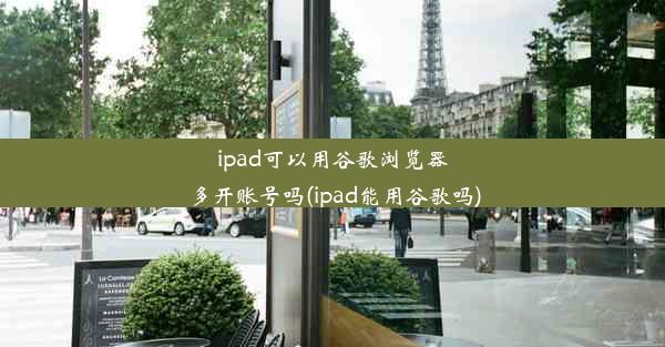 ipad可以用谷歌浏览器多开账号吗(ipad能用谷歌吗)