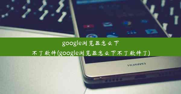 google浏览器怎么下不了软件(google浏览器怎么下不了软件了)