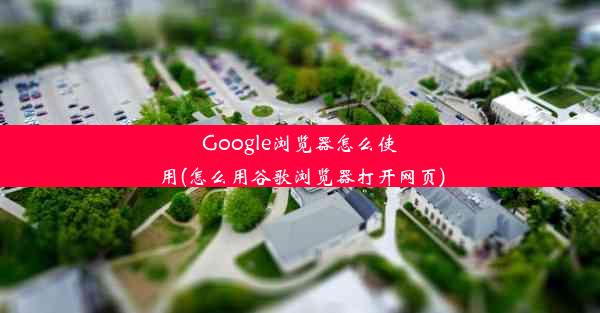 Google浏览器怎么使用(怎么用谷歌浏览器打开网页)