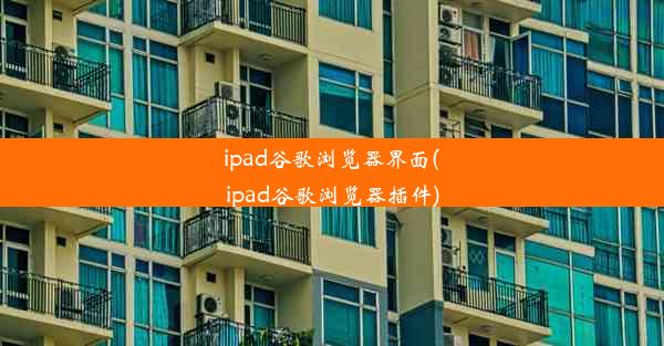 ipad谷歌浏览器界面(ipad谷歌浏览器插件)