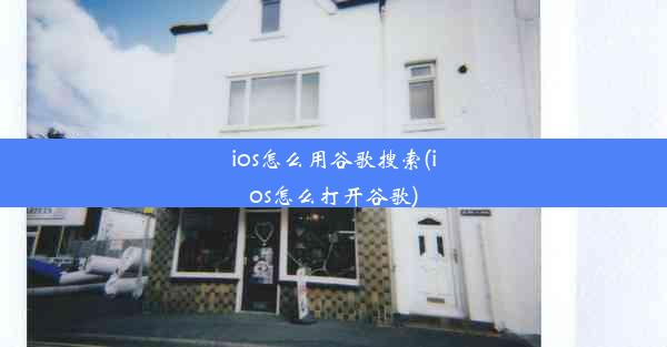 ios怎么用谷歌搜索(ios怎么打开谷歌)