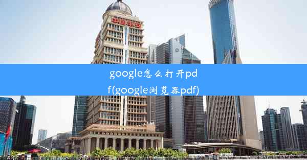 google怎么打开pdf(google浏览器pdf)