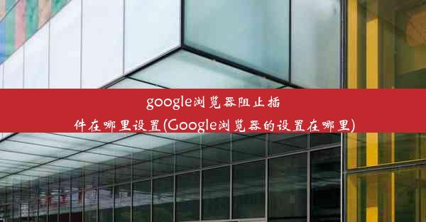 google浏览器阻止插件在哪里设置(Google浏览器的设置在哪里)