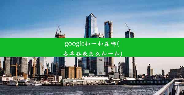 google扫一扫在哪(安卓谷歌怎么扫一扫)