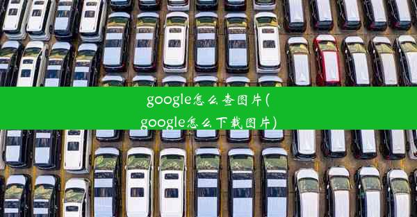 google怎么查图片(google怎么下载图片)