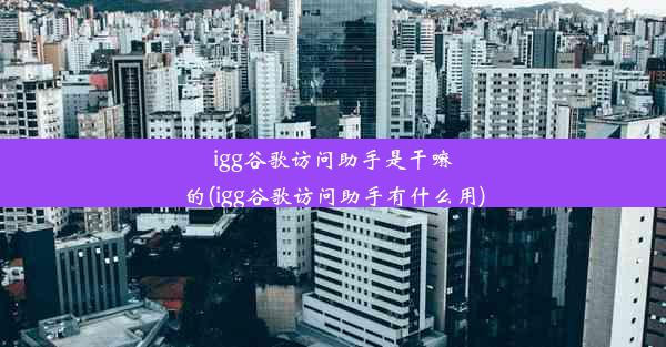 igg谷歌访问助手是干嘛的(igg谷歌访问助手有什么用)