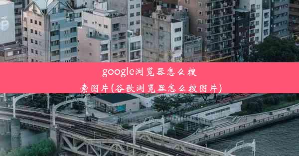 google浏览器怎么搜索图片(谷歌浏览器怎么搜图片)