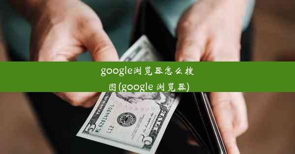 google浏览器怎么搜图(google 浏览器)