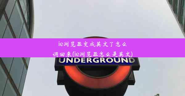 ie浏览器变成英文了怎么调回来(ie浏览器怎么是英文)