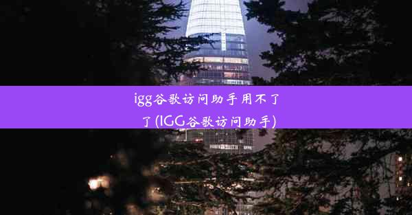 igg谷歌访问助手用不了了(IGG谷歌访问助手)