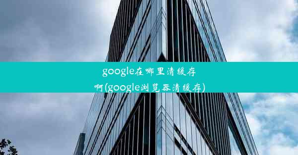 google在哪里清缓存啊(google浏览器清缓存)