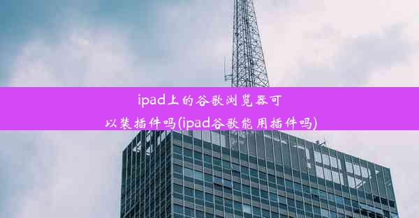 ipad上的谷歌浏览器可以装插件吗(ipad谷歌能用插件吗)