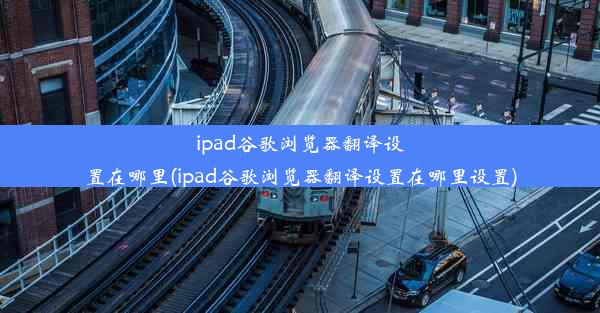 ipad谷歌浏览器翻译设置在哪里(ipad谷歌浏览器翻译设置在哪里设置)