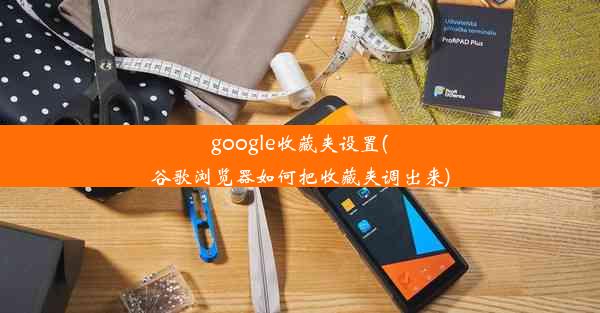 google收藏夹设置(谷歌浏览器如何把收藏夹调出来)