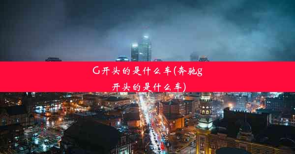 G开头的是什么车(奔驰g开头的是什么车)