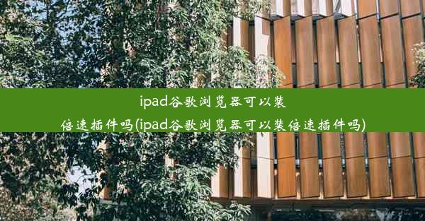 ipad谷歌浏览器可以装倍速插件吗(ipad谷歌浏览器可以装倍速插件吗)