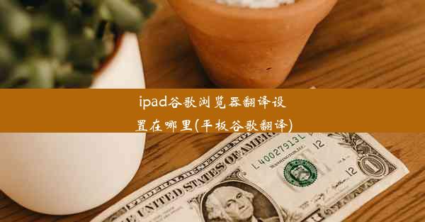 ipad谷歌浏览器翻译设置在哪里(平板谷歌翻译)