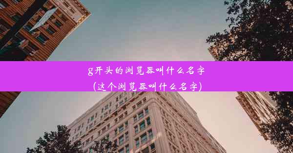 g开头的浏览器叫什么名字(这个浏览器叫什么名字)