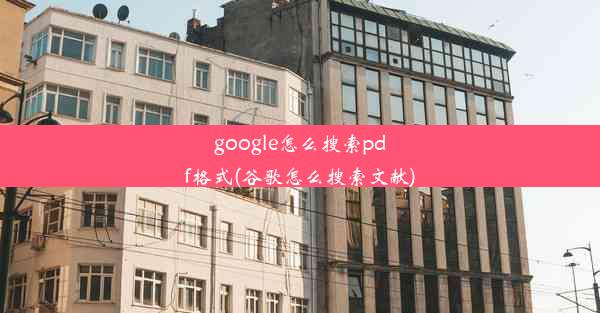 google怎么搜索pdf格式(谷歌怎么搜索文献)