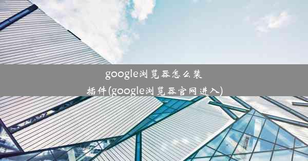 google浏览器怎么装插件(google浏览器官网进入)