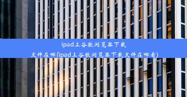 ipad上谷歌浏览器下载文件在哪(ipad上谷歌浏览器下载文件在哪看)