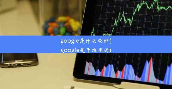 google是什么软件(google是干嘛用的)