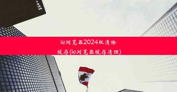 ie浏览器2024版清除缓存(ie浏览器缓存清理)